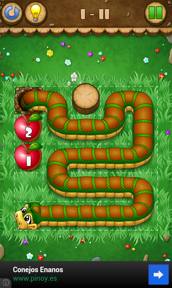 Bild 0 für Snakes & Apples