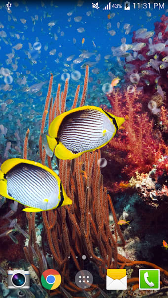 Free Aquarium Undersea LWP PRO