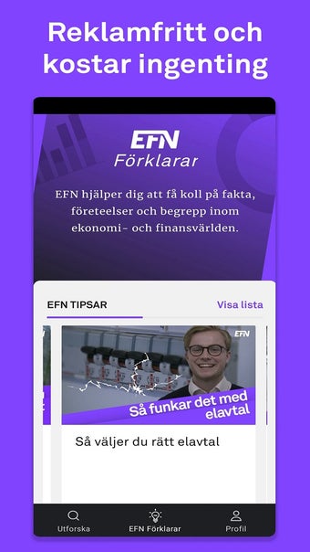 Obraz 0 dla EFN Ekonomikanalen