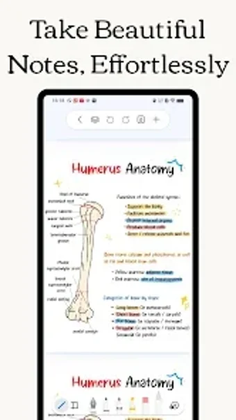 Freenotes - Notes Taking …の画像0