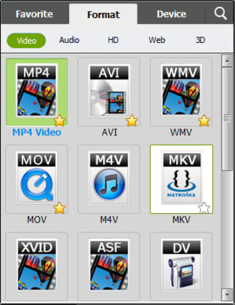 iSkysoft Video Converter for win
