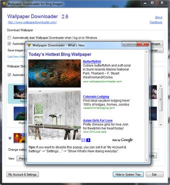 Immagine 2 per Wallpaper Downloader
