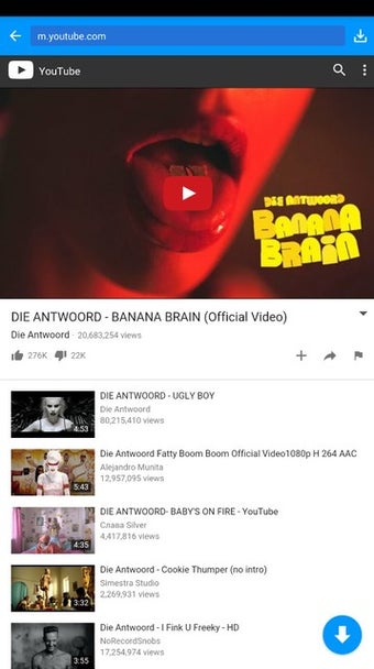 Bild 2 für KeepVid