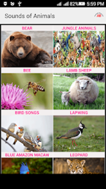 Bild 0 für Sounds of Animals and Bir…