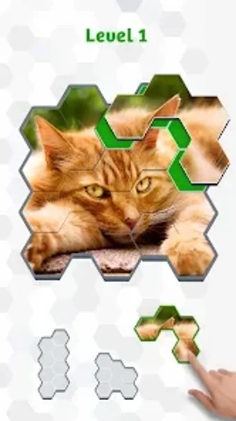 HexaPix: A Hexa Jigsaw Pu…の画像0