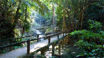 Image 0 pour Wooden Walkways PREMIUM