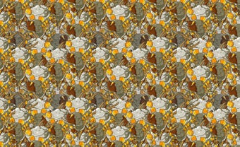 Image 4 pour Kuvva
