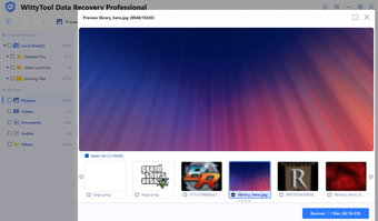 Image 0 for Wittytool Data Recovery
