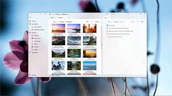 Image 0 pour Shrestha Files Pro