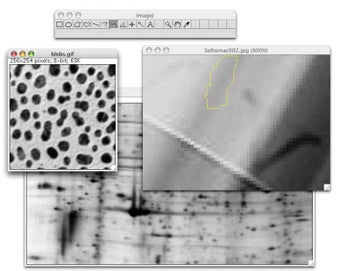 Image 0 for ImageJ