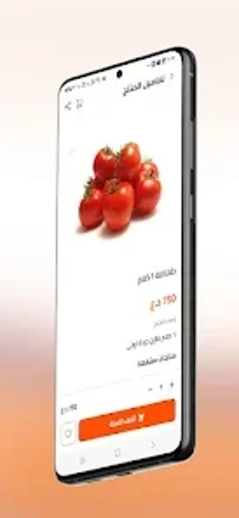 Bild 0 für مشمش