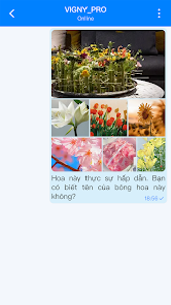 FFSAY的第0张图片