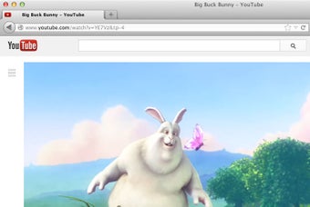 Bild 3 für ClipGrab