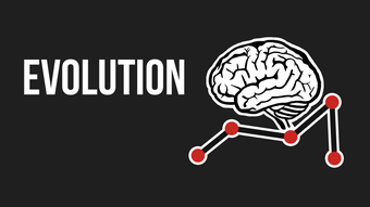 Image 0 pour Evolution