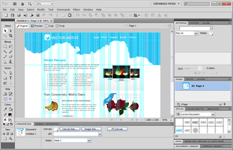Immagine 5 per Adobe Fireworks