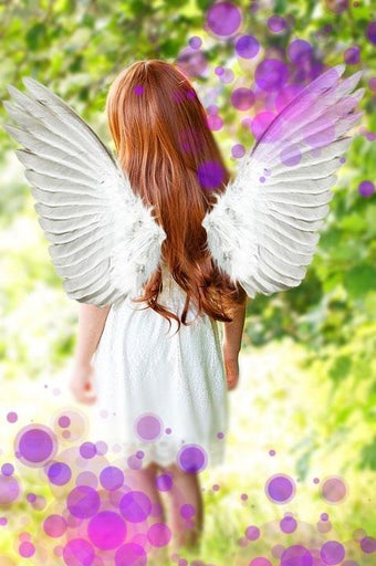 Bild 0 für Wings Photo Editor