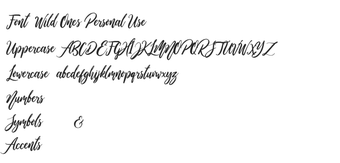 Bild 0 für Wild Ones