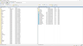 Immagine 0 per WinFTP Pro