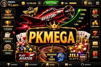 Obraz 0 dla pkMega