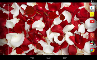 Obraz 0 dla Rose petals Live Wallpape…