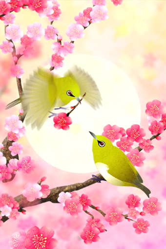 Plum-Blossom and White-Eye Tri