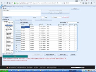Image 0 for YC SQL recovery tool