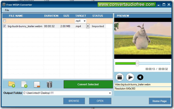 Image 0 for Free WebM Converter