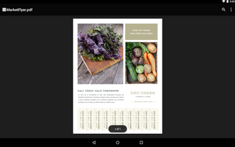 Google PDF Viewerの画像7