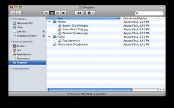 Obraz 9 dla Dropbox