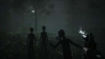 Immagine 0 per Greyhill Incident
