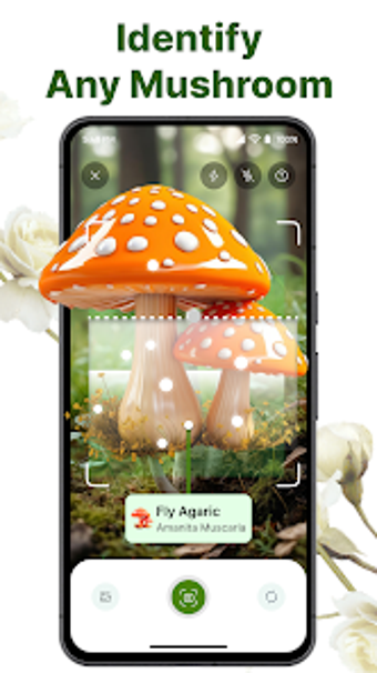 Bild 0 für Mushroom Identifier - Shr…