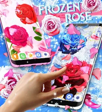Obraz 0 dla Winter rose live wallpape…