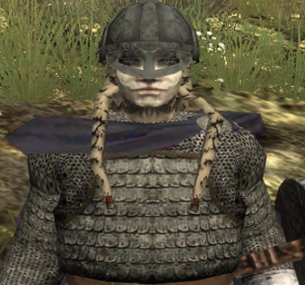 Bild 2 für Wrath of the Norsemen Mod