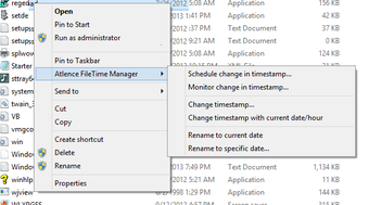 Atlence FileTime Manager