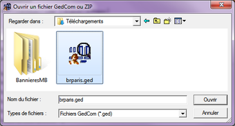 Obraz 0 dla GedCom Vision