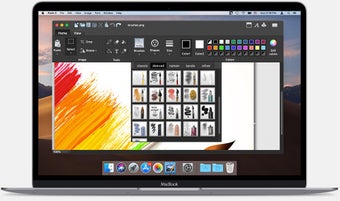 Image 2 for Paint X Lite