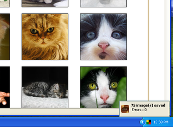 Image 1 pour Save Images