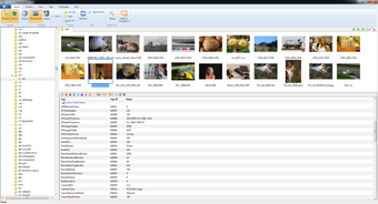 Imagen 0 para Metadata++