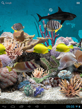 3D Aquarium Live Wallpaper