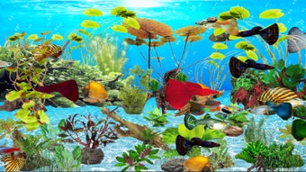 Image 0 for Guppies Deluxe Aquarium
