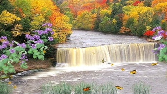 Autumn Waterfall