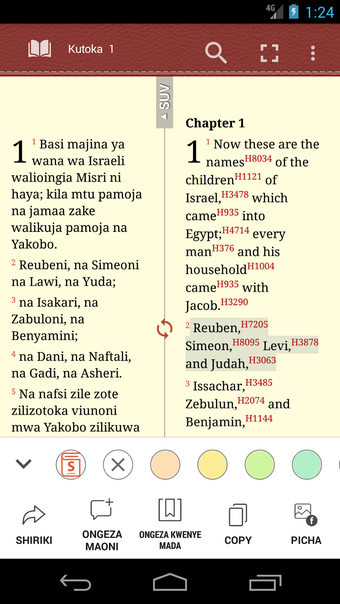 Immagine 2 per Biblia Takatifu Swahili B…