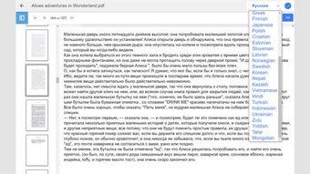 Image 0 for PDF Book Translator