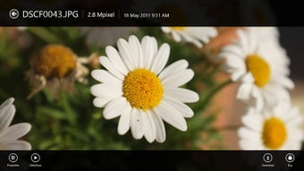 Picasa HD的第3张图片