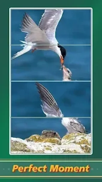 Bild 0 für Jigsaw Puzzle Art: Relax …