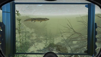 World of Divingの画像0