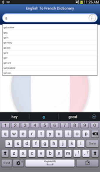 Imagen 8 para English French Dictionary