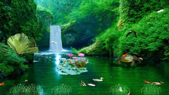 New Zealand Waterfall的第0张图片