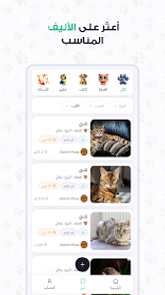 Obraz 0 dla وليف  تبني قطط وكلاب قريب…