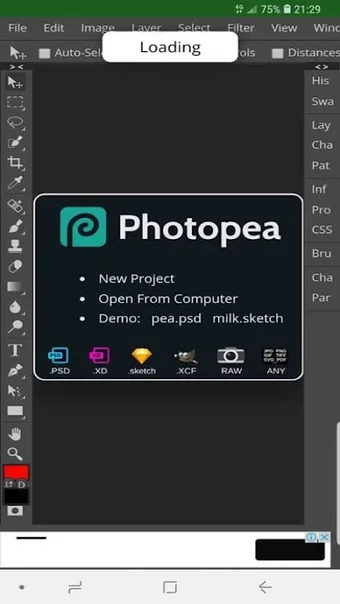 Imagen 0 para photopea
